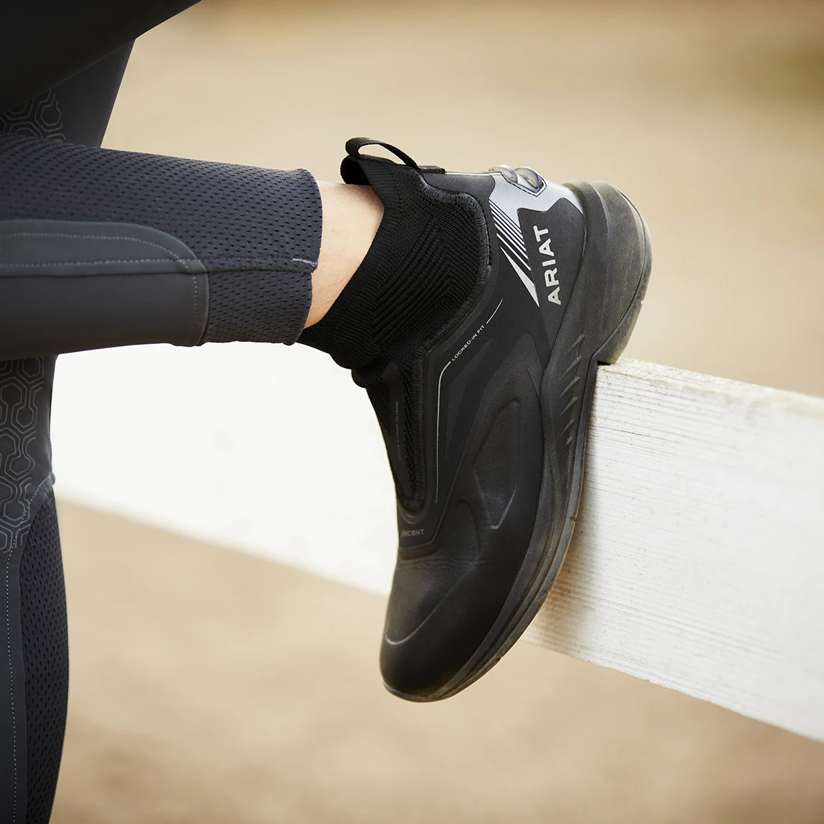 Jodhpurs Ariat Ascent Zwart 8 Jodhpurs Ariat Ascent Zwart - Afbeelding 6