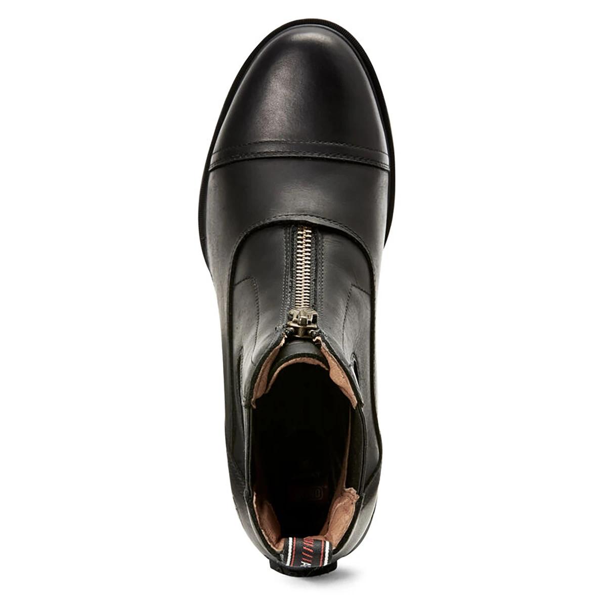 Jodhpurs Ariat Devon Nitro Zip Zwart 10 Jodhpurs Ariat Devon Nitro Zip Zwart - Afbeelding 8