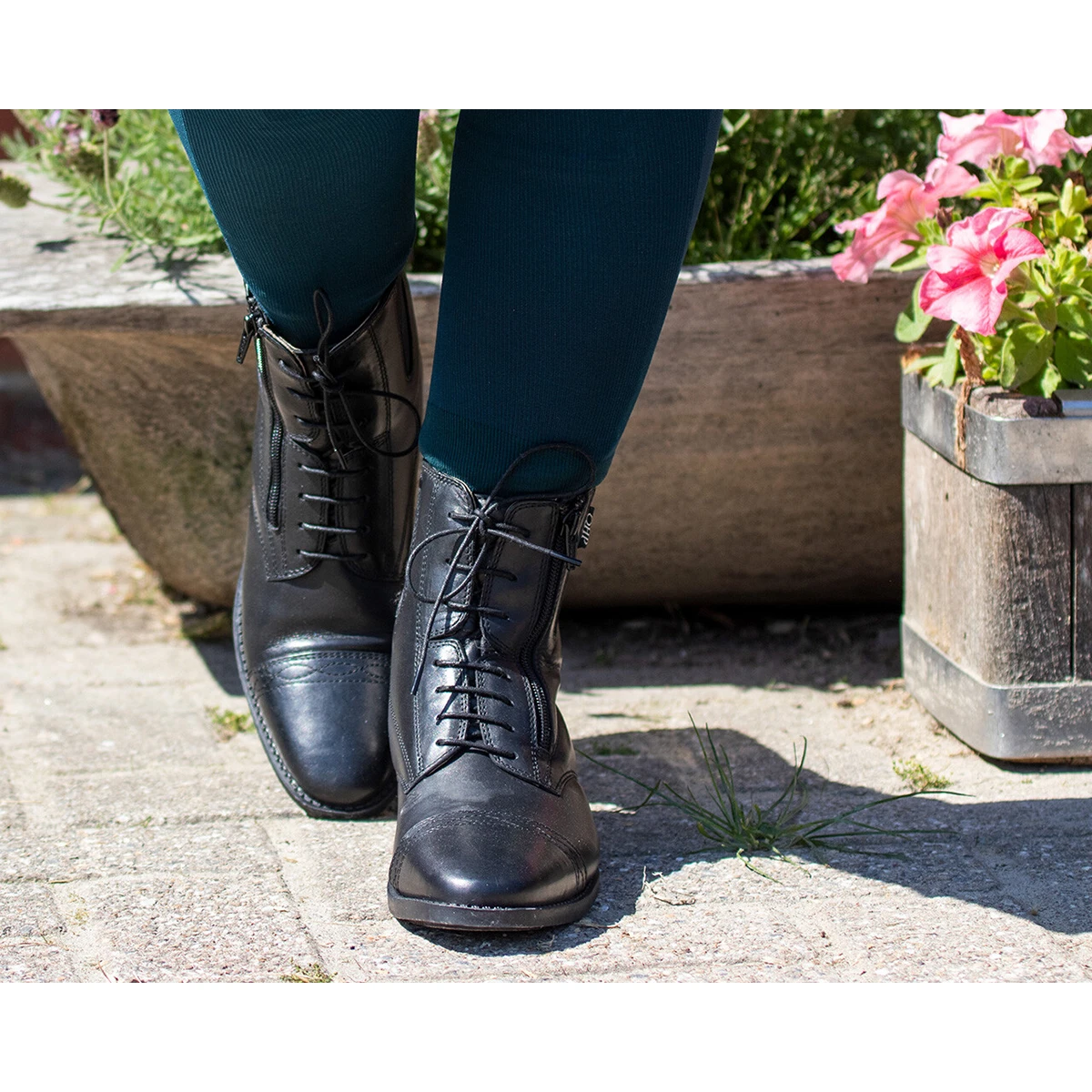 Jodhpurs QHP Ezra Zwart 10 Jodhpurs QHP Ezra Zwart - Afbeelding 8