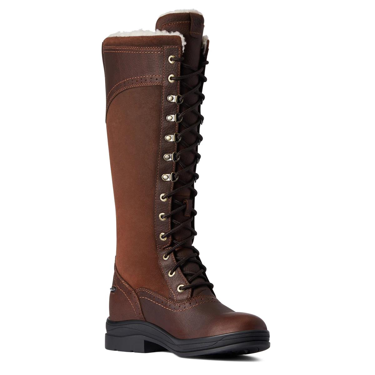Outdoorlaarzen Ariat Wythburn Tall H20 Donkerbruin 5 Outdoorlaarzen Ariat Wythburn Tall H20 Donkerbruin - Afbeelding 3