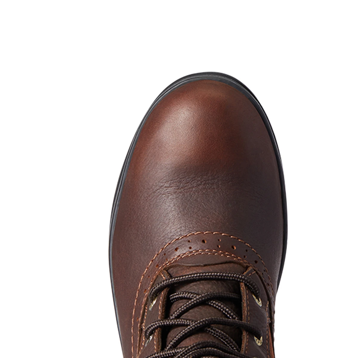 Outdoorlaarzen Ariat Wythburn Tall H20 Donkerbruin 9 Outdoorlaarzen Ariat Wythburn Tall H20 Donkerbruin - Afbeelding 7