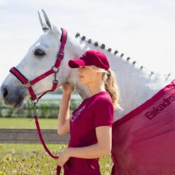 Pet Eskadron Reflexx Rood -Roeckl Verkoop pet eskadron reflexx rood 1500x1500 178807