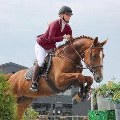 Rijjas QHP Coco Donkerrood -Roeckl Verkoop rijjas qhp coco donkerrood 1500x1500 113289