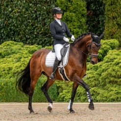 Rijjas QHP Elaina Zwart -Roeckl Verkoop rijjas qhp elaina zwart 1500x1500 174867