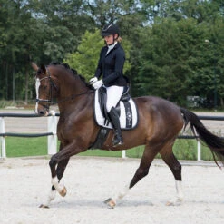 Rijjas QHP Noven Zwart -Roeckl Verkoop rijjas qhp noven zwart 1500x1500 169775