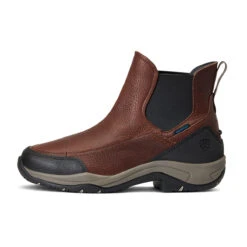 Stalschoenen Ariat Terrain Blaze H2O Donkerbruin -Roeckl Verkoop stalschoenen ariat terrain blaze h2o donkerbruin 1500x1500 144919