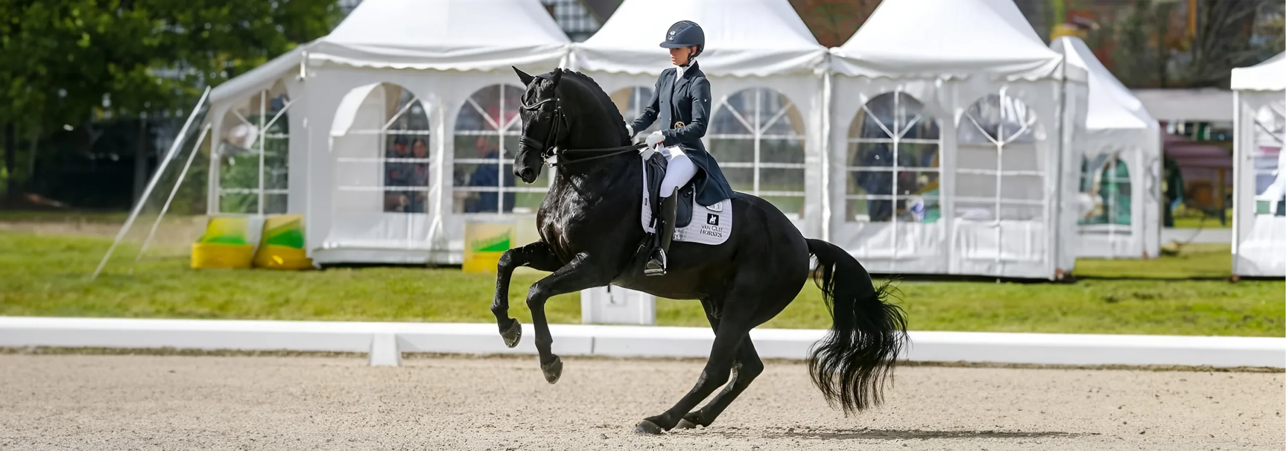 Voorkant -Roeckl Verkoop banner342 scaled